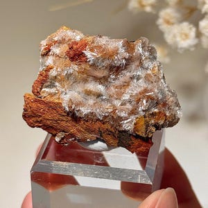 May include: A mineral specimen featuring a cluster of white, needle-like crystals atop a reddish-brown matrix. The mineral is displayed on a clear, rectangular acrylic stand. The background is blurred, with hints of white flowers.