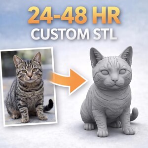 May include: A custom 3D printed gray cat figurine next to a photograph of a tabby cat. The text 24-48 HR CUSTOM STL is displayed at the top. An orange arrow points from the photograph to the gray cat sculpture, showing the transformation.