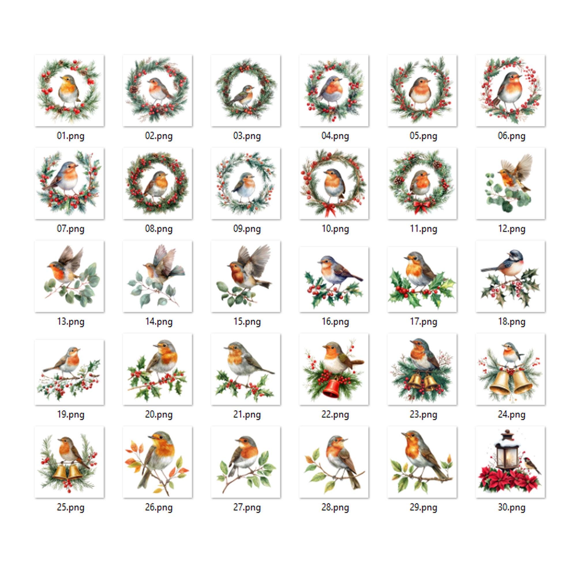 52 Christmas Robin Clipart, Watercolor Christmas Robin Bird Clipart ...