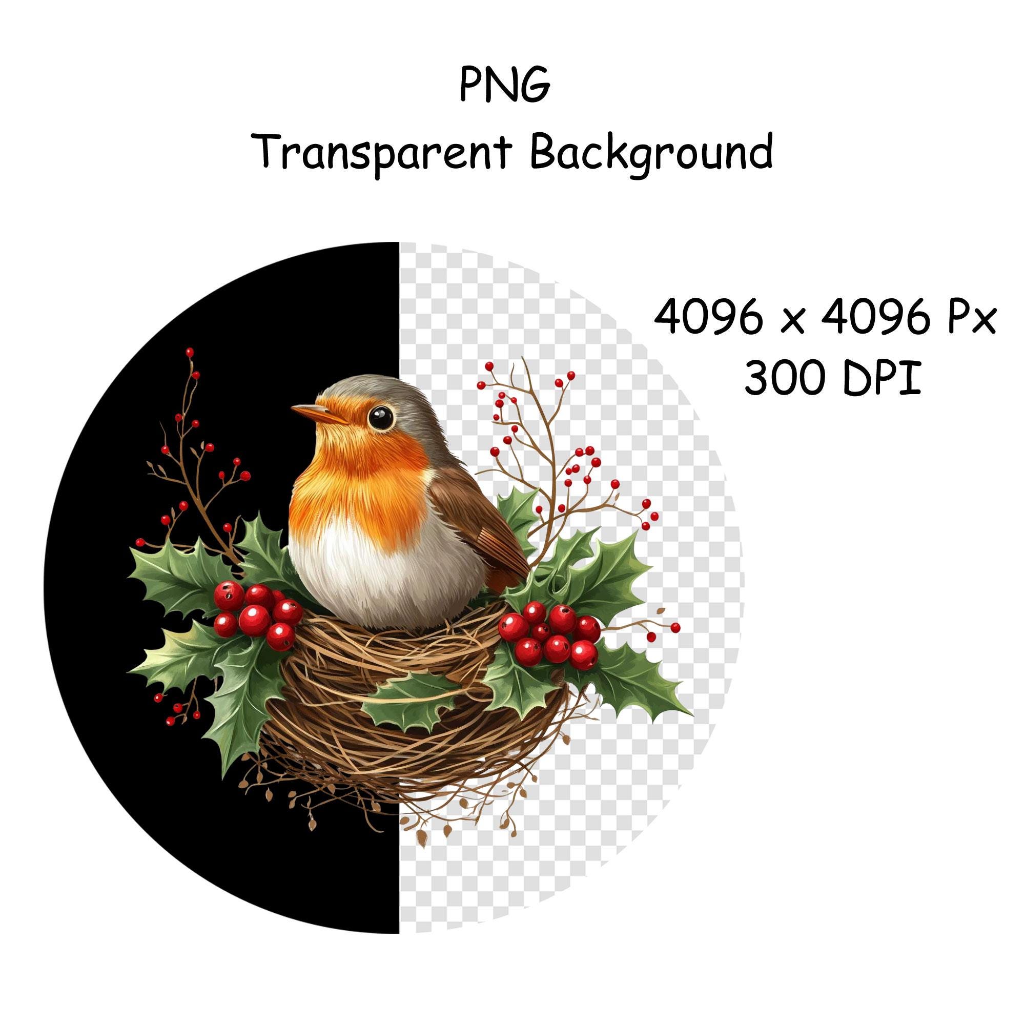 52 Christmas Robin Clipart, Watercolor Christmas Robin Bird Clipart ...