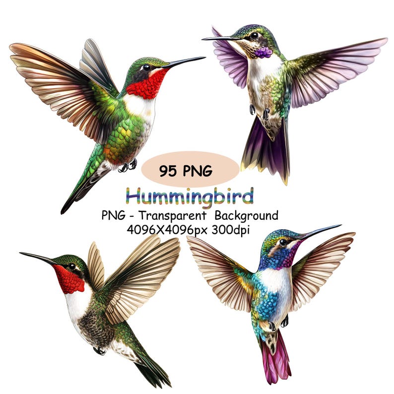 Op de afbeelding: Vier illustraties van kolibries met gespreide vleugels, met levendige groene, rode, blauwe en paarse veren. De afbeelding bevat de tekst "95 PNG Hummingbird" en details over het bestandstype en de resolutie.
