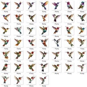 Op de afbeelding: Een verzameling van 46 aquarel illustraties van kolibries in verschillende poses. De vogels tonen levendige kleuren, waaronder rood, groen, blauw en paars, met gedetailleerde vleugel- en veermotieven. Elke afbeelding is gelabeld met een .png bestandsextensie.