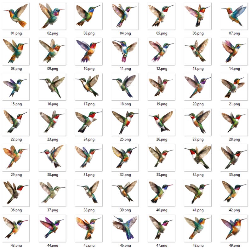 Op de afbeelding: Een verzameling van 49 aquarel illustraties van kolibries in verschillende poses. Elke vogel heeft levendige kleuren, waaronder groen, rood, blauw en oranje, met gedetailleerde vleugel- en veermotieven. De afbeeldingen zijn genummerd.