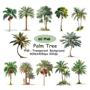 May include: Watercolour illustrations of various palm trees in shades of green and brown. The image includes a variety of palm tree styles, some with fruit. Text on the image reads "60 PNG Palm Tree".