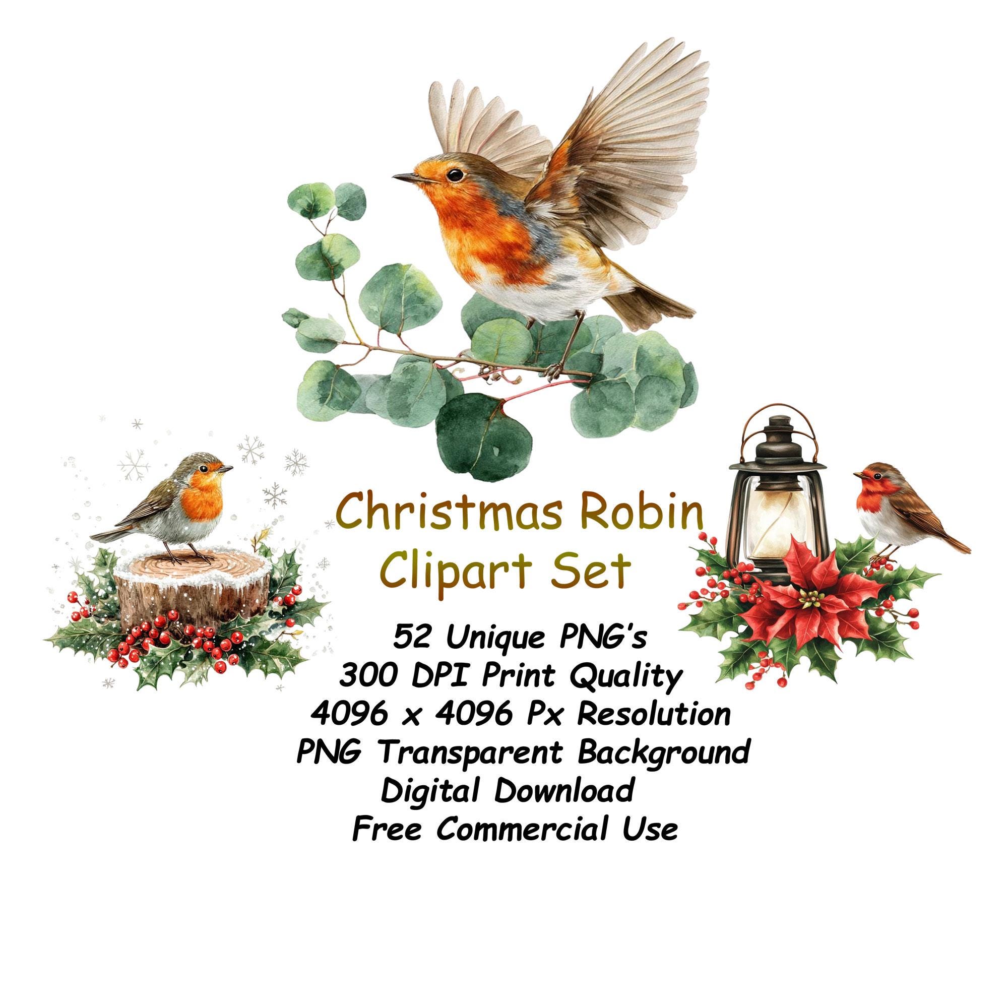 52 Christmas Robin Clipart, Watercolor Christmas Robin Bird Clipart ...