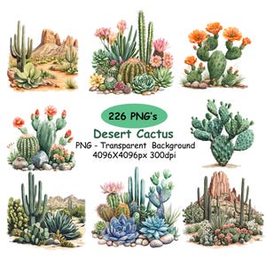 May include: A collection of watercolor illustrations featuring various desert cacti and succulents. The images showcase different types of cacti with vibrant green, pink, and orange blooms, set against a desert landscape. Text reads "226 PNG's Desert Cactus".