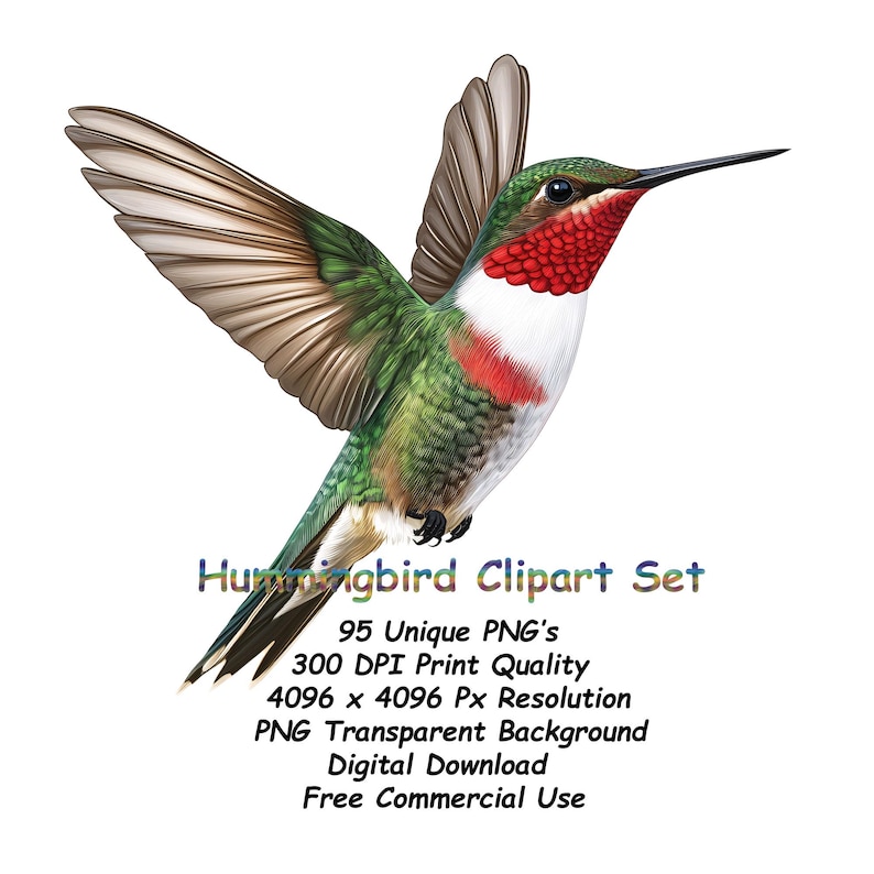 Op de afbeelding: Gedetailleerde illustratie van een kolibrie met groene, rode en witte veren, vleugels gespreid in volle vlucht. De afbeelding bevat tekst: "Hummingbird Clipart Set", "95 Unique PNG's", "300 DPI Print Quality", "4096 x 4096 Px Resolution", "PNG Transparent Background", "Digital Download", "Free Commercial Use".