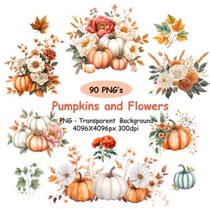 Puede incluir: Ilustración digital con calabazas y arreglos florales en tonos naranja, blanco y crema. El texto "90 PNG's" y "Pumpkins and Flowers" son visibles. La imagen también incluye texto que indica un fondo transparente y dimensiones.