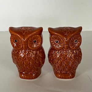 Vintage 1970s Brown Owl Salt and Pepper Shakers, Adorable Big-Eyed Ceramic Set, Retro Kitchen Decor, 3&quot; Tall