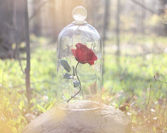 Beauty and the Beast Inspired, Fine Art Photograph, Photography, Photo, Enchanted Rose, Woods, Print, Nursery, Romance, Decor, Home, Kids