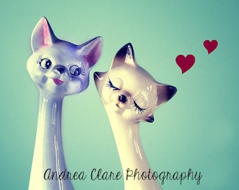 Cat Photography, Fine Art Photograph, Vintage, Retro, Love, hearts, couples, gift, valentines, feline, whimsical, decor, art, Photo, Print