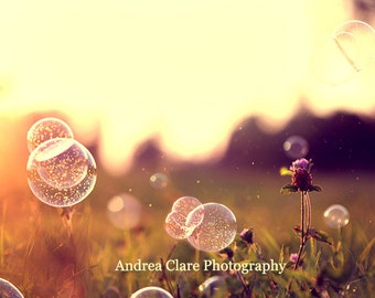Bubble Photograph , Fine Art, Summer Photograph, Photography, Art, Nature, Field, Summer, Sunset, Golden, Yellow, Surreal, Dreamy, Wall Art