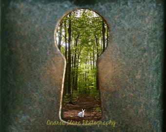 Alice in Wonderland Inspired, Wall Art, Fine Art Photograph, Key Hole, kids, adults, Disney, photo, print, surreal, Nursery, story, Rabbit,