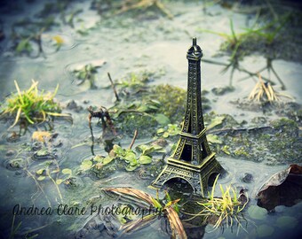 Eiffel Tower, Fine Art Photography, france, paris, photo, surreal, nature, landscape, architecture, water, print, green, art, still life