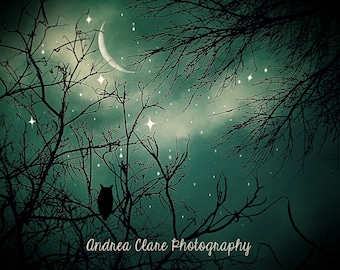 Owl Photograph, Fine Art Photograph, Nature, Moon, Starry Night, Trees, Whimsical, Magical, Surreal, Green, Photo, Art, Wall Decor, Nursery