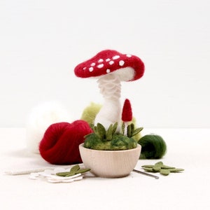 Needle Felting Kit // Crimson Toadstool // Needle Felting Kit, Mushroom Craft, Mushroom DIY Craft Kit, Roving, Felting Kit, Benzie Design