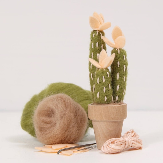 Easyhandmade Cute Succulent Plants Wool Felt DIY Package Diy Craft Kits for  Adults Kids Decorations Felt Toys---without tools