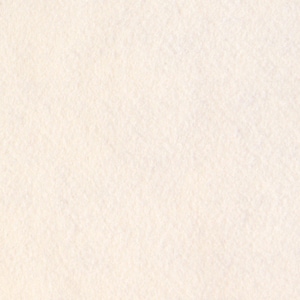 Puede incluir: Primer plano de una superficie de papel texturizado blanquecino. El papel tiene una textura ligeramente rugosa, con sutiles variaciones de tono. El aspecto general es limpio y sencillo, con un enfoque en la textura natural del papel.