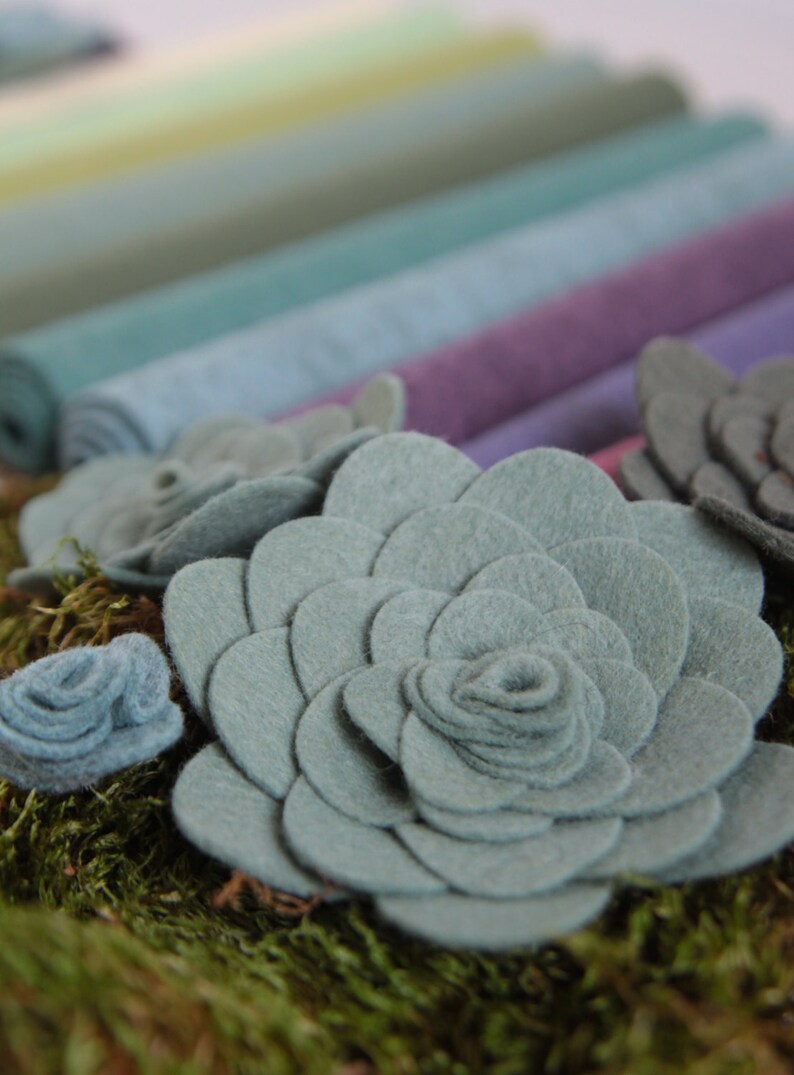 Wool Felt // Sweet Succulents // Felt Succulents Wool Felt Etsy