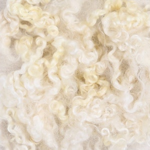 May include: Close-up of a pile of white, fluffy sheep wool. The wool is soft and curly, and it appears to be freshly shorn.