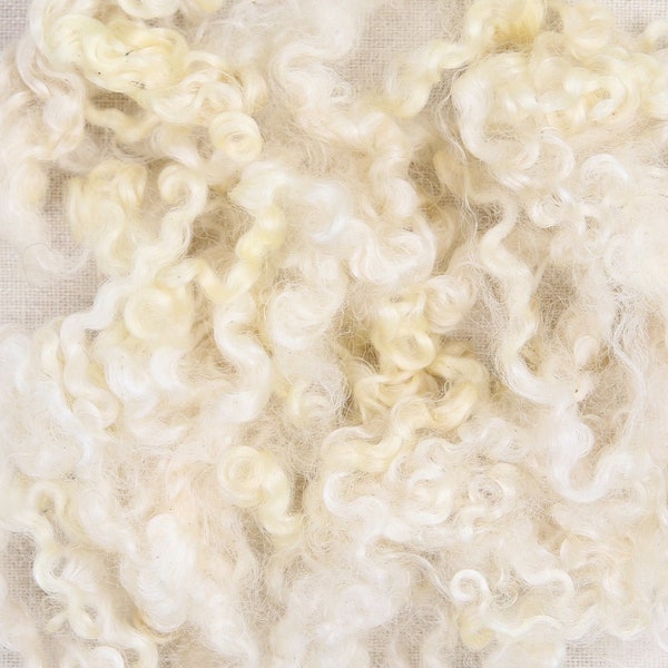 Wensleydale Curls// Natural // White Curly Fibers, Wool Roving, Needle Felting, Wet Felting, Gnome Beards, Fiber Details, Wool Curls