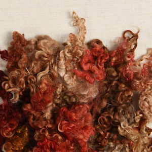 May include: A close-up of a pile of curly wool fibers in shades of brown, red, and gold. The wool is soft and fluffy, and it would be perfect for crafting.