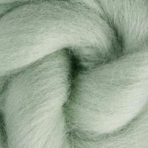 May include: Close-up of a mass of light green wool roving. The fibers are soft and fluffy, with a slightly textured appearance. The wool is tightly packed and appears to be ready for spinning or felting. The color is a muted, pastel green.