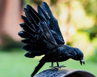 Halloween Black Crow Decoration, Black Crows, Simulated Crow, Black Crow Art, Halloween Decor, Cosplay Decor