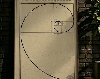 May include: Framed print featuring a diagram of the Fibonacci sequence. The artwork displays a spiral and geometric shapes with measurements in inches, set against a grid background. The title "Fibonacci sequence" is at the top.