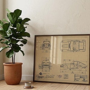 May include: A framed blueprint of a vintage sports car, featuring multiple views and technical drawings in blue ink on a tan background. A large potted plant with green leaves stands to the left. The frame is brown.