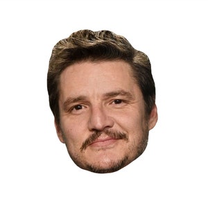May include: A close-up of a man's face with brown hair, a mustache, and a beard. He is smiling slightly.