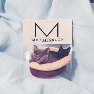 Pode incluir: Um adesivo com dois gatos numa cama, um cinzento e outro preto, com o texto "MOTHERSHIP" por cima.
