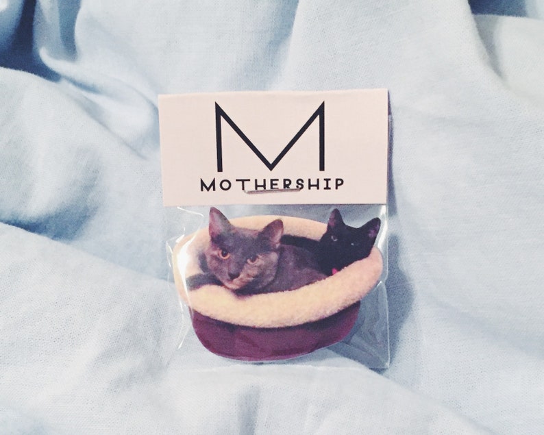 Pode incluir: Um adesivo com dois gatos numa cama, um cinzento e outro preto, com o texto "MOTHERSHIP" por cima.