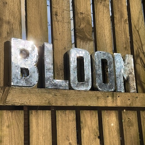 Puede incluir: La palabra "BLOOM" escrita en letras grandes y plateadas con mosaicos. Las letras están montadas sobre una valla de madera desgastada. Los mosaicos reflejan la luz, creando un efecto brillante.