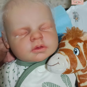 Custom Asleep Reborn Doll – Noah by Reva Schick, 20" Realistic Handmade Newborn image 1