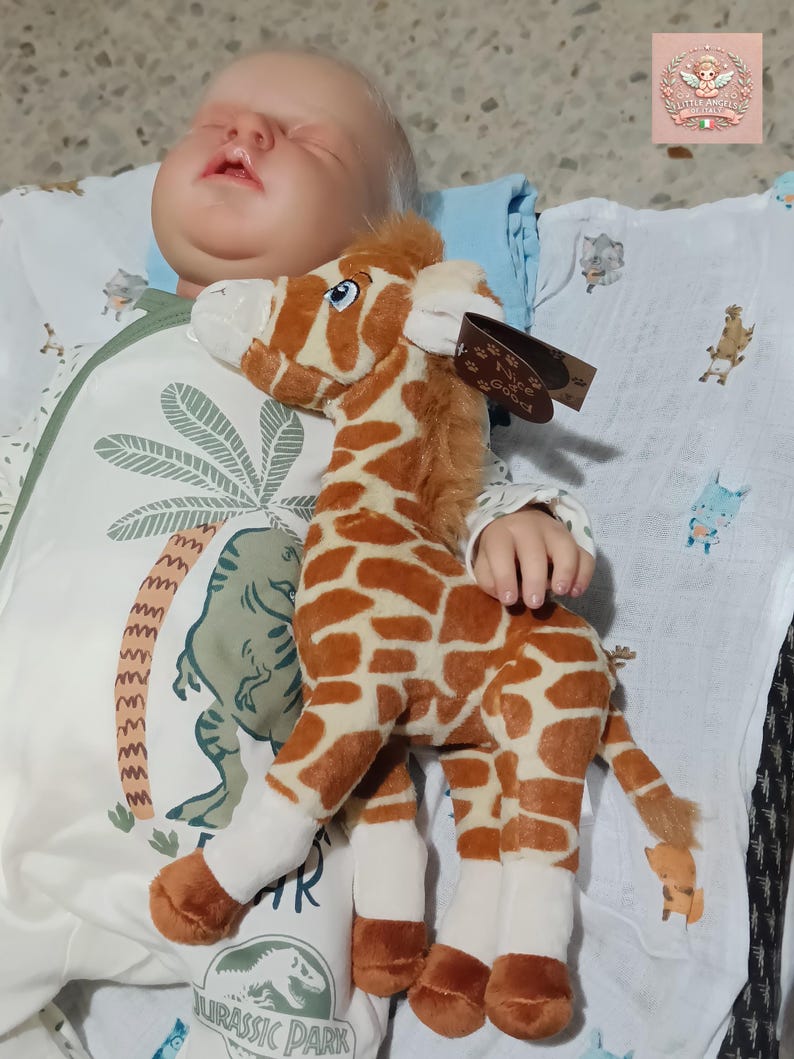 Custom Asleep Reborn Doll – Noah by Reva Schick, 20" Realistic Handmade Newborn image 11