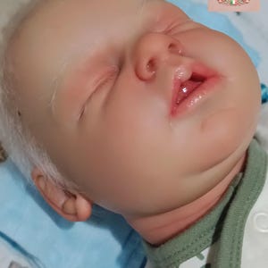 Custom Asleep Reborn Doll – Noah by Reva Schick, 20" Realistic Handmade Newborn image 5