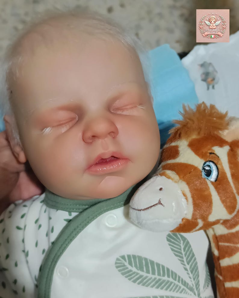 Custom Asleep Reborn Doll – Noah by Reva Schick, 20" Realistic Handmade Newborn image 1
