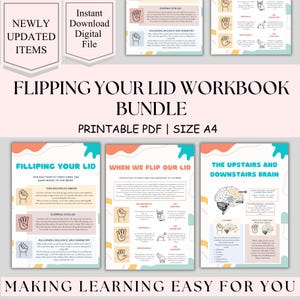 Flipping Your Lid Infographic handout for emotional intelligence: self-regulation sheet, Neuroscience, educational psychology. ADHD therapy