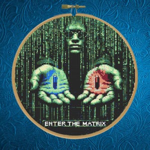 Könnte beinhalten: Kreuzstich-Kunstwerk in einem Holzrahmen mit einem Bild aus The Matrix. Das Bild zeigt eine Figur mit Sonnenbrille und Händen, die eine blaue und eine rote Pille halten. Der Text "ENTER THE MATRIX" befindet sich unten.
