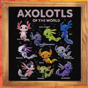 以下が含まれることがあります： 「AXOLOTLS OF THE WORLD」と題された額装のクロスステッチパターン。黒い背景に9種類のカラフルなウーパールーパーのイラストが描かれています。各生物には、Albino、Wild Green、CFP、Mosaic、Black Melanoid、Gold、Silver Dalmatian、Piebald、Enigma、Lavenderといった特定のタイプがラベル付けされています。