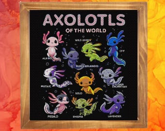 May include: A framed cross-stitch pattern titled AXOLOTLS OF THE WORLD featuring nine colorful axolotl illustrations on a black background. Each creature is labeled with its specific type, including Albino, Wild Green, CFP, Mosaic, Black Melanoid, Gold, Silver Dalmatian, Piebald, Enigma, and Lavender.
