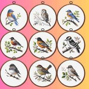 Op de afbeelding: Negen borduurpatronen in borduurringen met verschillende vogels, waaronder een blauwe vogel, een specht, een uil en een roodborstje. Elk ontwerp is op een witte achtergrond met groene bladeren en takken.