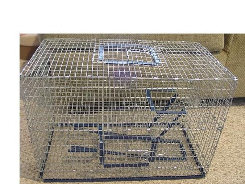 12 tall 20L Aquarium Cage Topper Two Story Top Door and Etsy