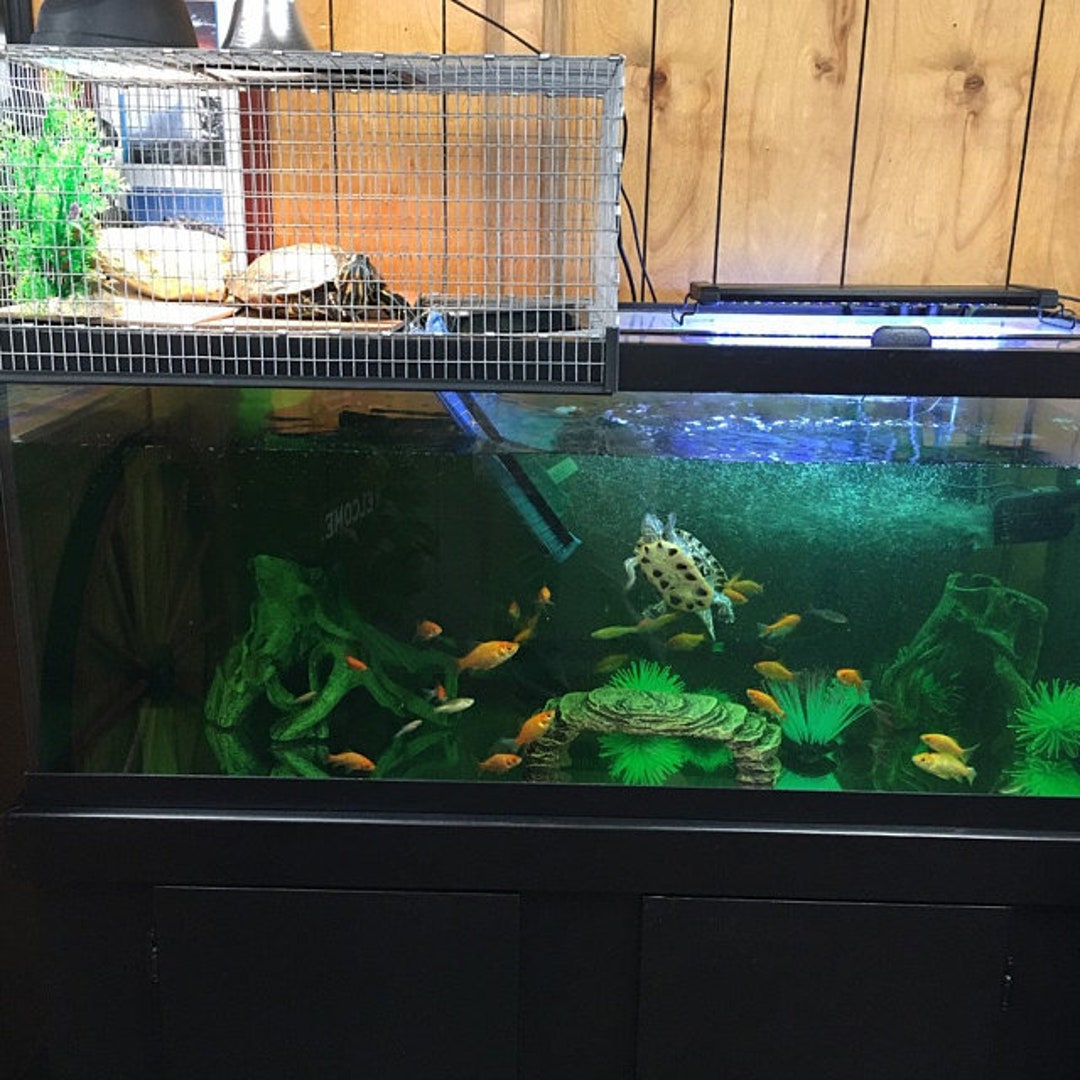 19 Wide X 27 Long X 10 Tall Basking Turtle Aquarium Tank Topper 