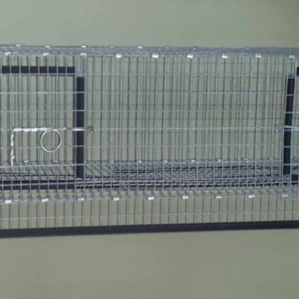 Hamster Aquarium Topper Etsy