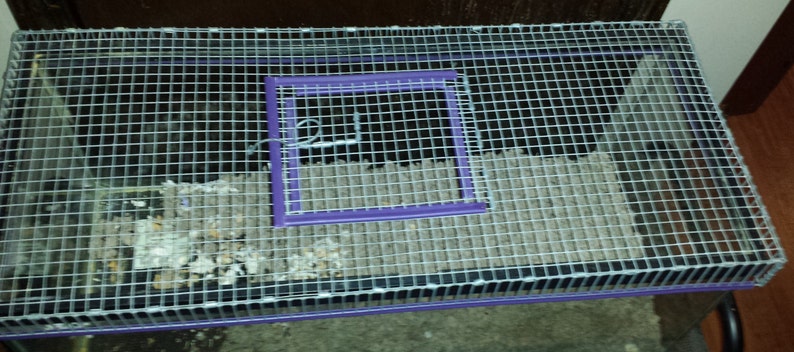 Aquarium Cage Tank Top Top Door 10 Gal, 15 Gal, 20 Gal gerbil rat hamster degu Reptile Snake Turtle image 3