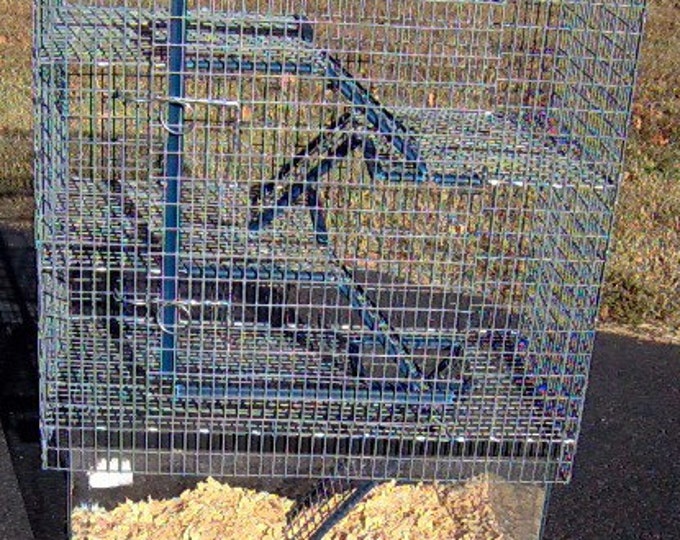 21 Tall 20 Gal L 4 Story High Rise Aquarium Cage Topper Etsy