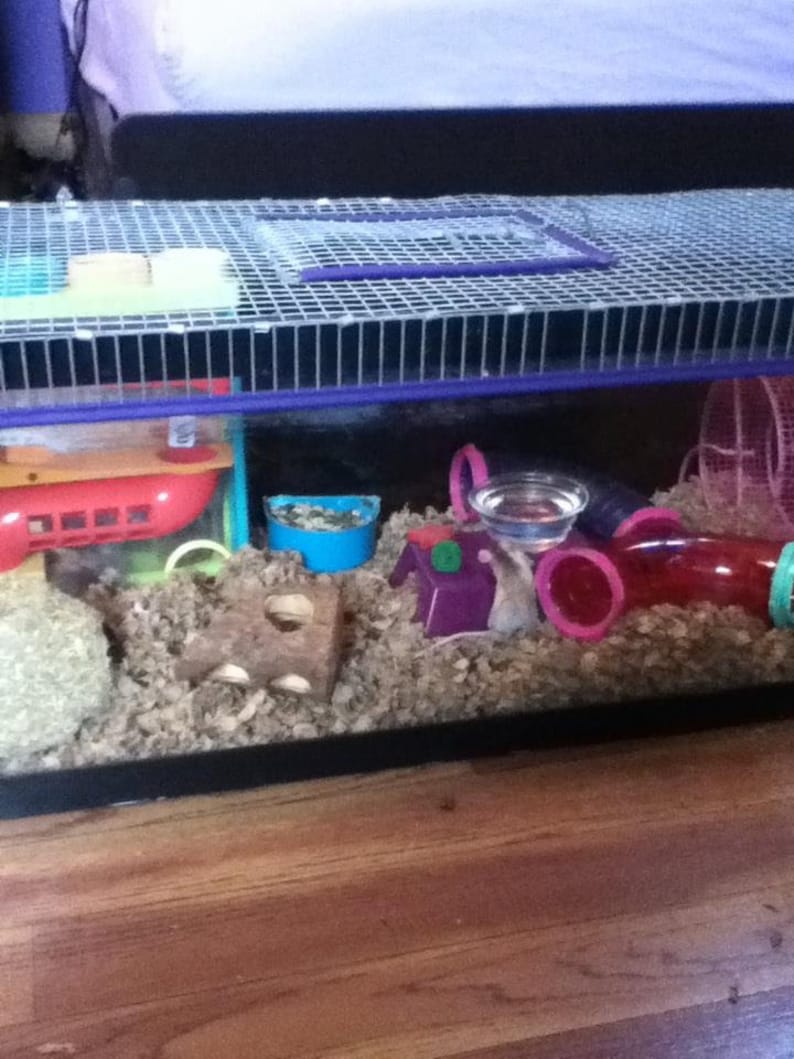 75 gallon hamster tank