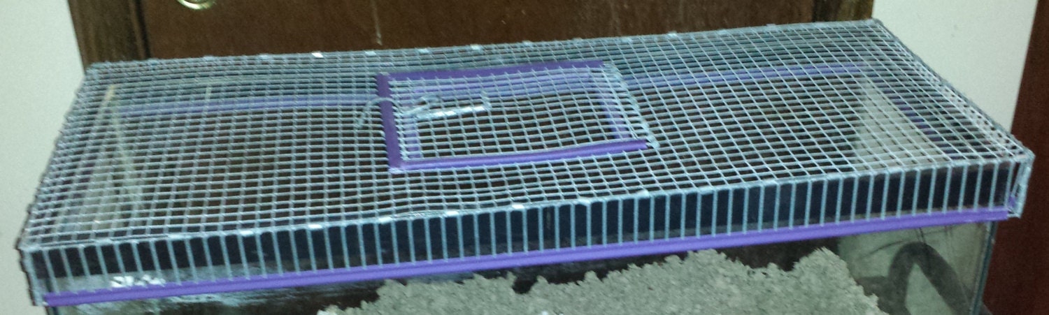 20 gallon best sale long hamster tank